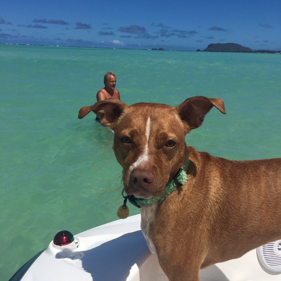 Meet your Posher, Patricia - Picture 6 of 6